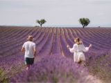 France Lavender Fields Map south Of France Provence Guide Find Us Lost