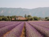 France Lavender Fields Map south Of France Provence Guide Find Us Lost