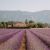 France Lavender Fields Map south Of France Provence Guide Find Us Lost