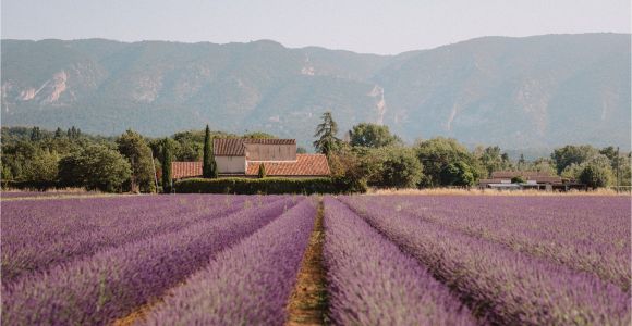 France Lavender Fields Map south Of France Provence Guide Find Us Lost