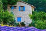 France Lavender Fields Map Telephoto Lenses Up Close and Personal France Lavender Fields