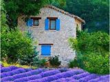 France Lavender Fields Map Telephoto Lenses Up Close and Personal France Lavender Fields