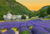 France Lavender Fields Map the 10 Best Things to Do In Provence France