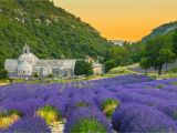 France Lavender Fields Map the 10 Best Things to Do In Provence France