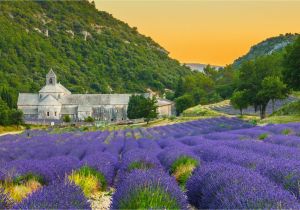 France Lavender Fields Map the 10 Best Things to Do In Provence France