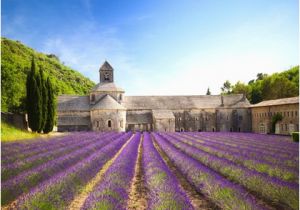France Lavender Fields Map the Most Beautiful Places In France Conde Nast Traveler