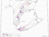 Fredericton Canada Map Lithological Map Of New Brunswick Canada Modified after