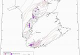 Gander Canada Map Lithological Map Of New Brunswick Canada Modified after