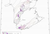 Gander Canada Map Lithological Map Of New Brunswick Canada Modified after