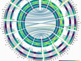 Genome Mapping Canada Durum Wheat Genome Highlights Past Domestication Signatures and