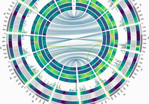 Genome Mapping Canada Durum Wheat Genome Highlights Past Domestication Signatures and