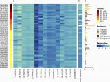 Genome Mapping Canada Genome Mapping Of Seed Borne Allergens and Immunoresponsive Proteins