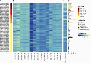 Genome Mapping Canada Genome Mapping Of Seed Borne Allergens and Immunoresponsive Proteins