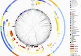 Genome Mapping Canada Genome Mapping Of Seed Borne Allergens and Immunoresponsive Proteins