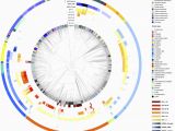 Genome Mapping Canada Genome Mapping Of Seed Borne Allergens and Immunoresponsive Proteins