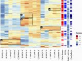 Genome Mapping Canada Genome Mapping Of Seed Borne Allergens and Immunoresponsive Proteins