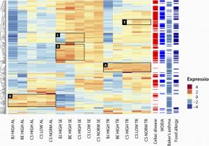 Genome Mapping Canada Genome Mapping Of Seed Borne Allergens and Immunoresponsive Proteins