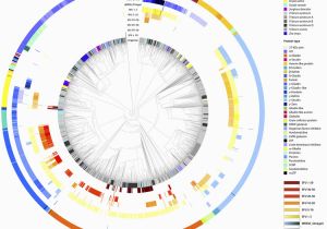 Genome Mapping Canada Genome Mapping Of Seed Borne Allergens and Immunoresponsive Proteins