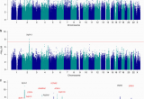 Genome Mapping Canada Genome Wide Mega Analysis Identifies 16 Loci and Highlights Diverse