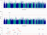 Genome Mapping Canada Genome Wide Mega Analysis Identifies 16 Loci and Highlights Diverse
