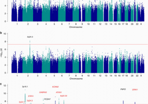 Genome Mapping Canada Genome Wide Mega Analysis Identifies 16 Loci and Highlights Diverse