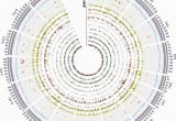 Genome Mapping Canada the Sunflower Genome Provides Insights Into Oil Metabolism