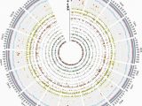 Genome Mapping Canada the Sunflower Genome Provides Insights Into Oil Metabolism