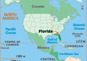 Georgia Location In World Map Florida Map Geography Of Florida Map Of Florida Worldatlas Com