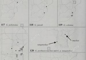 Georgia Maps with Counties &amp; Cities G Smith Stock Photos G Smith Stock Images Page 5 Alamy