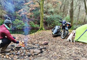 Georgia Public Hunting Land Map Camp for Free On Public Land Dispersed Camping 101 Gearjunkie