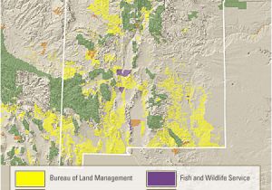 Georgia Public Hunting Land Map Public Land Map Beautiful File Peter Lanting Fill In the Wasted