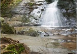 Georgia Waterfalls Map 29 Best Hiking Blue Ridge Georgia Images Hiking In Georgia Hiking