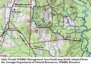 Georgia Wma Maps Georgia Wma Maps Unique U S Route 43 Maps Directions