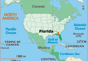 Georgia World Map Location Florida Map Geography Of Florida Map Of Florida Worldatlas Com