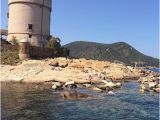 Giglio Italy Map Giglio island isola Del Giglio 2019 All You Need to Know before
