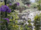 Giverny France Map Le Jardin Des Nympheas Picture Of Giverny Eure Tripadvisor