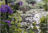 Giverny Map France Le Jardin Des Nympheas Picture Of Giverny Eure Tripadvisor