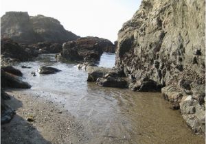 Glass Beach California Map the 15 Best Things to Do In fort Bragg Updated 2019 with Photos
