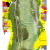 Golf Courses In Ireland Map Old Course St andrews Links the Home Of Golf