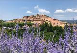 Gordes France Map the 15 Best Things to Do In Gordes 2019 with Photos Tripadvisor