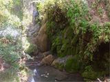 Gorman Falls Texas Map Gorman Falls Trail Texas Alltrails