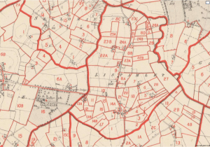 Griffiths Valuation Of Ireland Maps the Inhabitants Of Listamlet In 1860 Griffith S Valuation