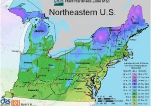 Growing Zones Map Minnesota State Maps Of Usda Plant Hardiness Zones