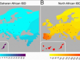 Haplotype Map Europe Genetic History Of Europe Wikiwand