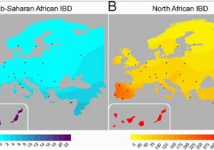 Haplotype Map Europe Genetic History Of Europe Wikiwand