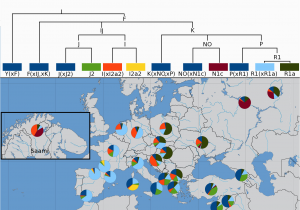 Haplotype Map Europe the Y Chromosome Ancestry Genetics and the Making Of A