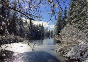 Idyllwild California Map Photo6 Jpg Picture Of Lake Fulmor Idyllwild Tripadvisor