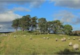 Ireland Stone Circles Map Craigh Na Dun Modern Stone Circle Monolith the Megalithic Portal