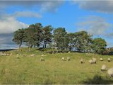 Ireland Stone Circles Map Craigh Na Dun Modern Stone Circle Monolith the Megalithic Portal