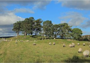 Ireland Stone Circles Map Craigh Na Dun Modern Stone Circle Monolith the Megalithic Portal